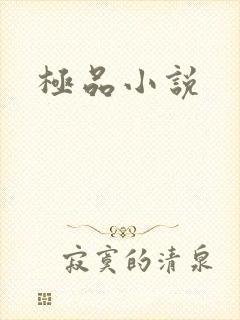 极品小说