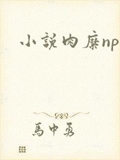 小说肉糜np