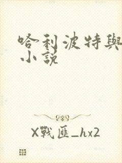 哈利波特与密室小说
