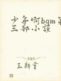 少年啊bgm第三部小说