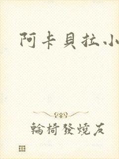 阿卡贝拉小说