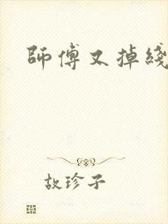师傅又掉线了封面