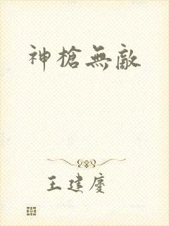 神枪无敌封面