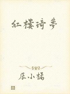 红楼琦梦