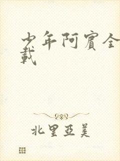 少年阿宾全集下载