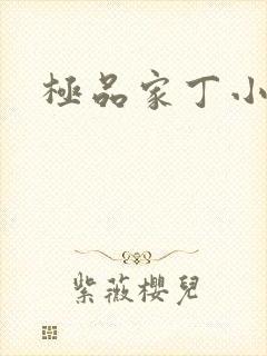 极品家丁小说