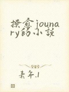 撩愈jounary的小说
