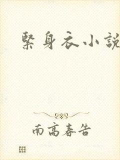 紧身衣小说