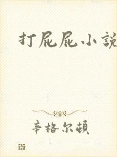 打屁屁小说