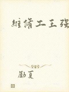 维修工王强张婷封面