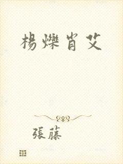 杨烁肖艾