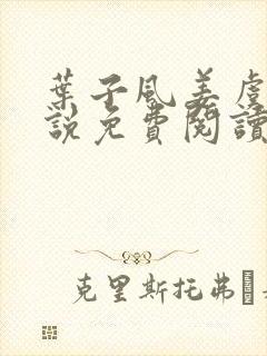 叶子风姜虞雪小说免费阅读封面