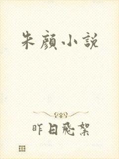 朱颜小说封面