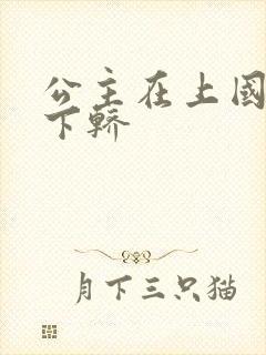 公主在上国师请下轿封面