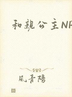和亲公主NPC