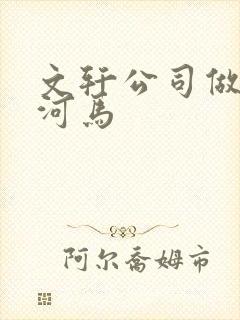 文轩公司做扩张河马