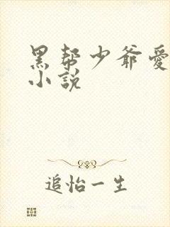 黑帮少爷爱上我小说
