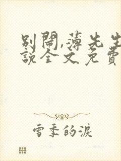 别闹,薄先生小说全文免费阅读