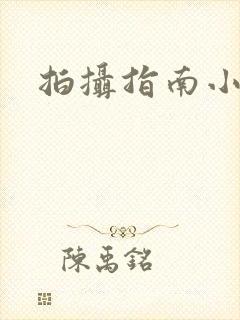 拍摄指南小说