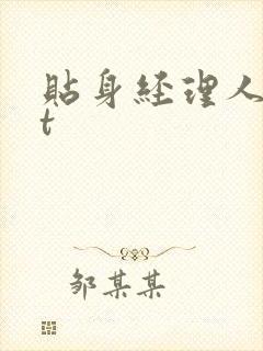 贴身经理人txt