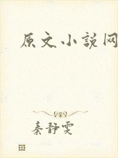 原文小说网封面
