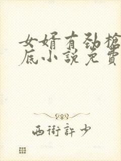 女婿有劲枪枪到底小说免费阅读封面