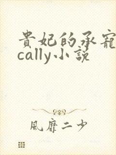 贵妃的承宠日常cally小说