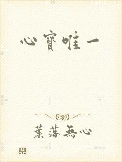 心宝唯一