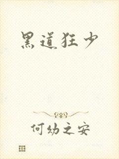 黑道狂少封面