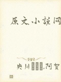 原文小说网