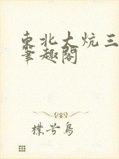东北大炕三部曲笔趣阁封面