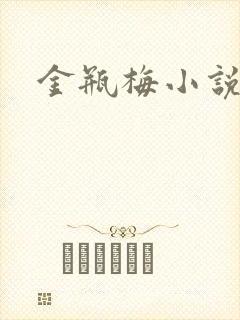 金瓶梅小说下载封面