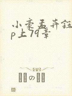 小豪孟卉钰慧三p上79章