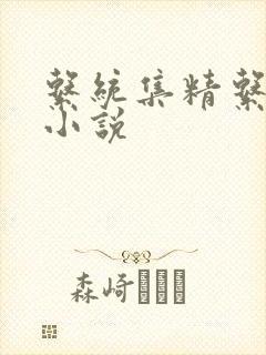 系统集精系统 小说