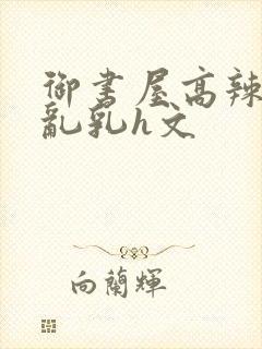 御书屋高辣h文乱乳h文