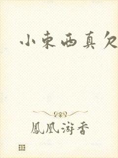 小东西真欠弄封面