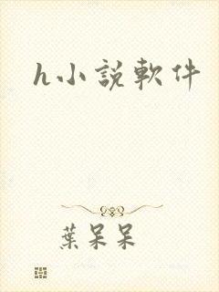 h小说软件