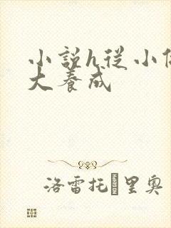 小说h从小做到大养成