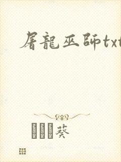 屠龙巫师txt