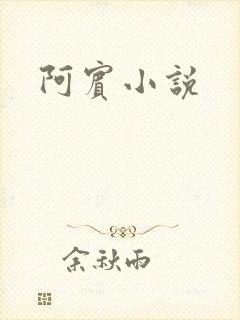 阿宾小说
