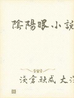 阴阳眼小说封面