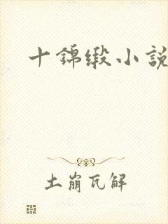 十锦缎小说
