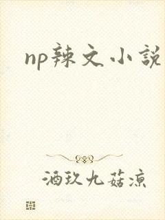 np辣文小说封面