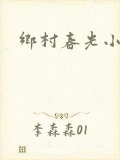 乡村春光小说
