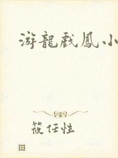 游龙戏凤小说