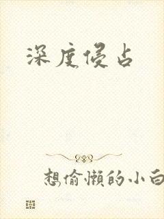 深度侵占