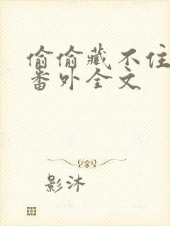 偷偷藏不住新婚番外全文