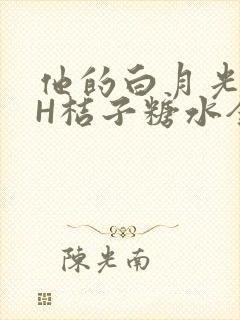 他的白月光HVH桔子糖水全文