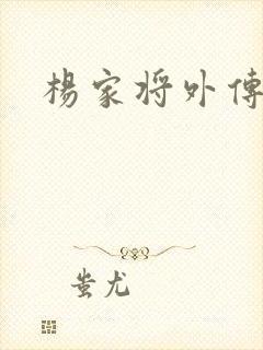 杨家将外传封面