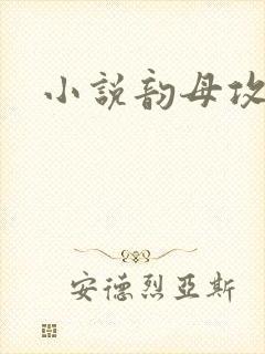 小说韵母攻略